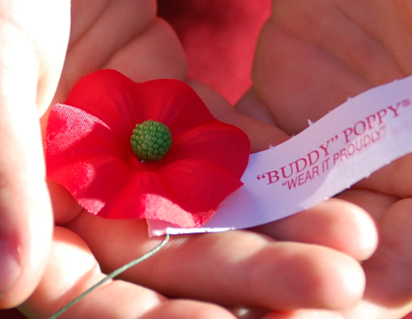 VFW Post 2659 Will Distribute Buddy Poppies on Saturday