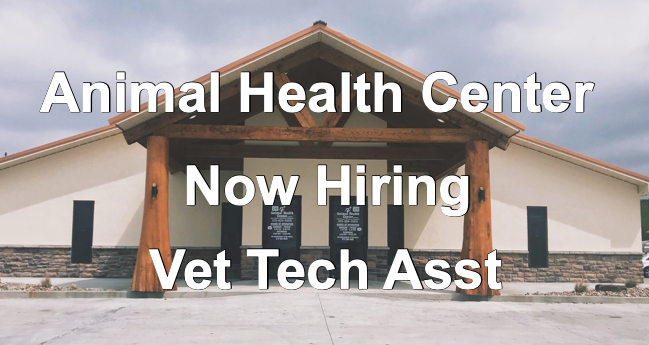 Animal Health Center Seeks Vet Tech Assistant