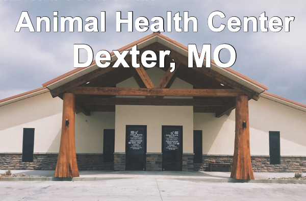 Animal Health Center Remains Open and Committed to Your Pet's Health