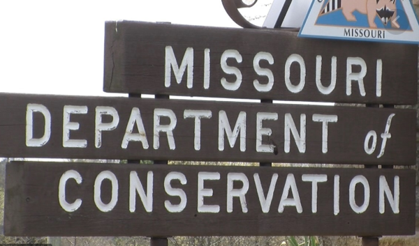 MDC to Temporarily Waive Fishing Permits Starting Friday