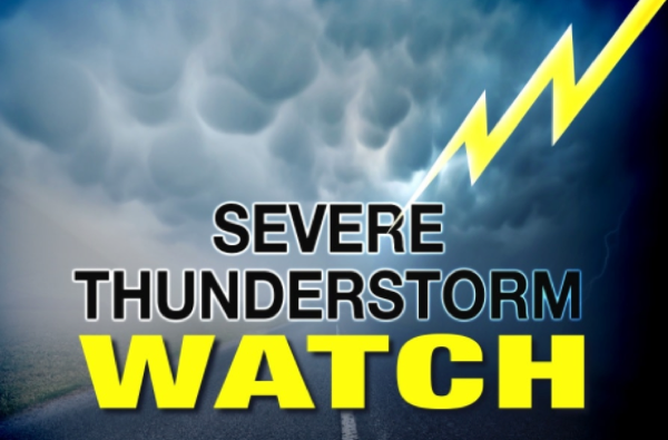 Severe Thunderstorm Watch Issued for Stoddard County, MO