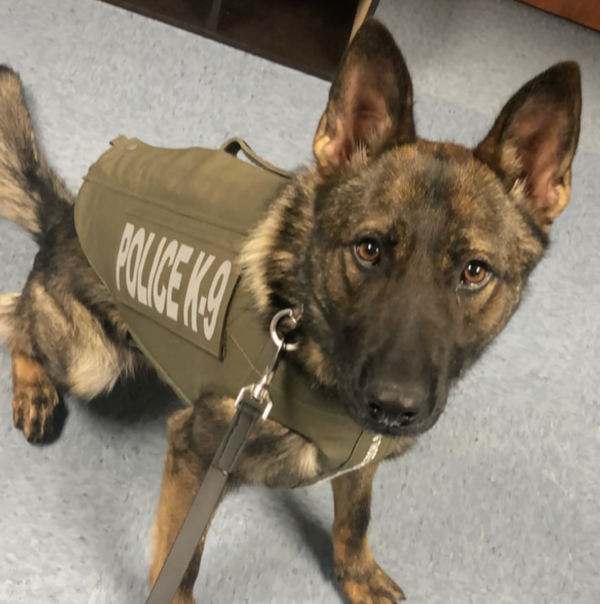 Dexter PD K9 Officer Knox Receives Body Armor