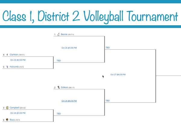 2020 Class 1, District 2 Volleyball Tournament Seeds Released