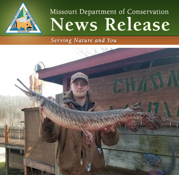 Wayne County Angler Catches World Record-Sized Spotted Gar