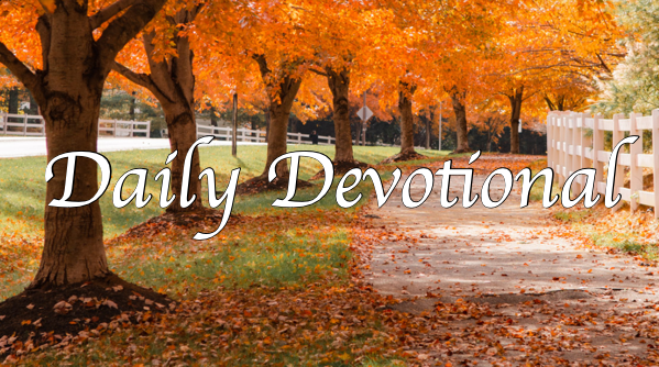 Daily Devotional - Friday, August 20, 2021 - Our Firm Foundation