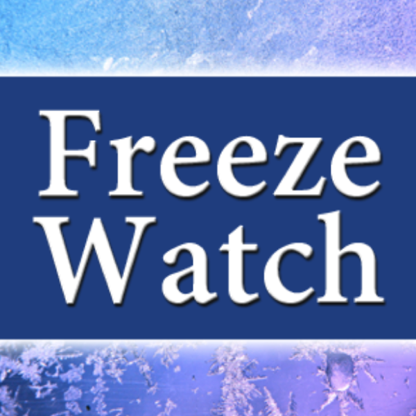 Freeze Watch Issued for Stoddard County for Wednesday Evening