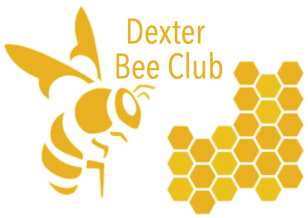 Dexter Bee Club to Offer Beginner's Bee Course