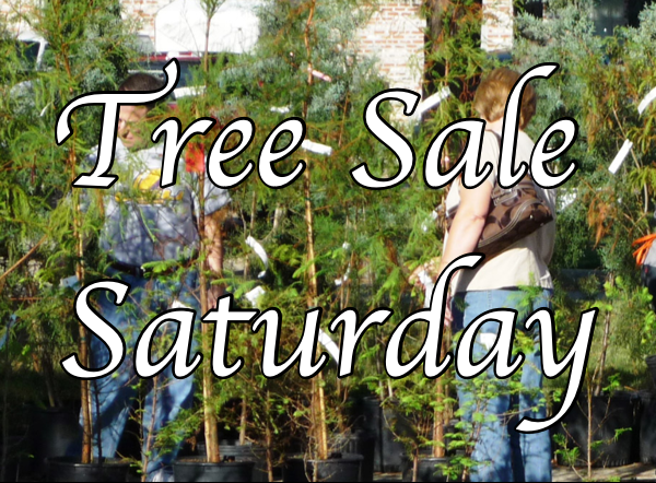 Dexter Tree Board Selling Trees on Saturday