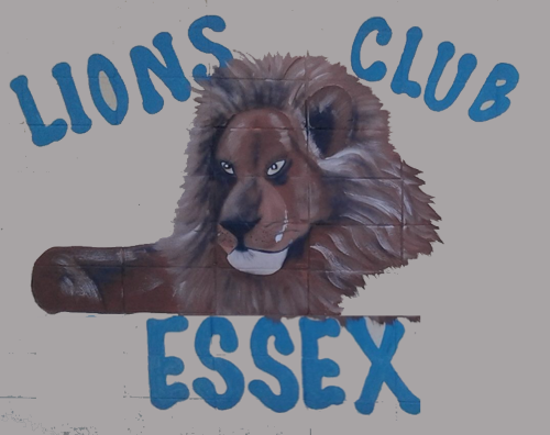 Lion's Club Mae Hall Park Day in Essex