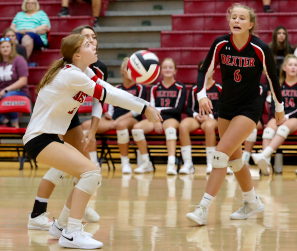 Lady Cats Go 9-0 at Volleyball Jamboree