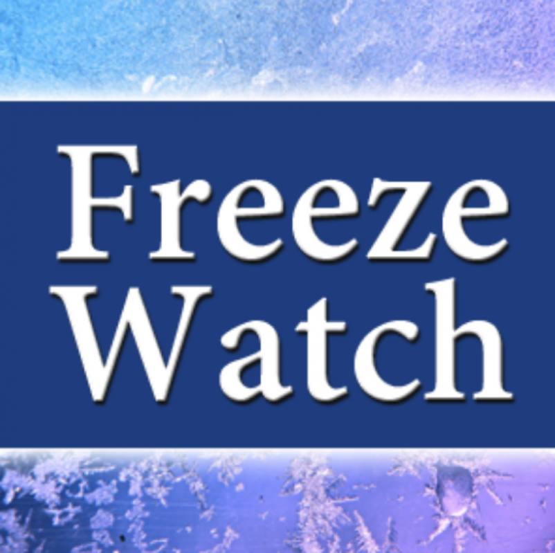 Freeze Watch Issued for Stoddard County for Monday Evening