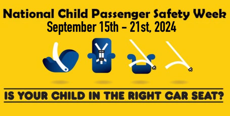 Passenger safety best sale