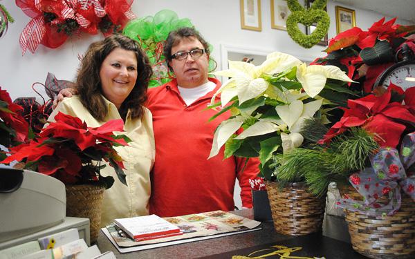 Christmas Poinsettia Need Care
