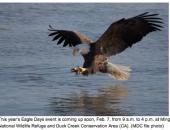 Eagle Days at Duck Creek and Mingo Coming Soon