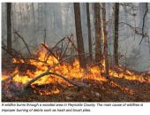 MDC Encourages People to Help Prevent Wildfires